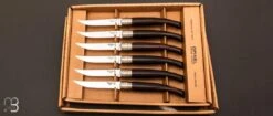 Coffret 6 Couteaux Table Chic Opinel Palissandre