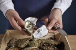 Couteau à Huîtres Opinel N°09 13 Couteau à Huîtres Opinel N°09 -Promos Opinel Lame Boutique OP001616 07 opinel oestermes op001616 08