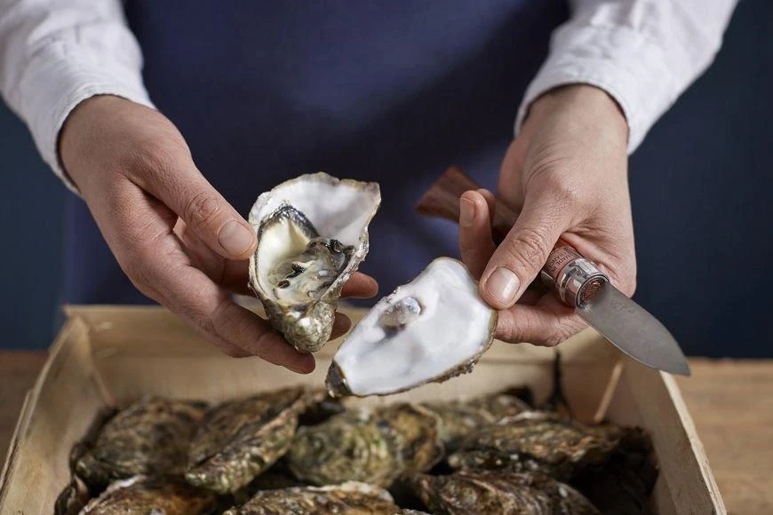 Couteau à Huîtres Opinel N°09 6 Couteau à Huîtres Opinel N°09 – Image 6