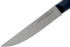 Opinel Intempora Couteau à Viande No. 220, 16 Cm 9 Opinel Intempora Couteau à Viande No. 220, 16 Cm -Promos Opinel Lame Boutique OP002220 03 opinel intempora scaled